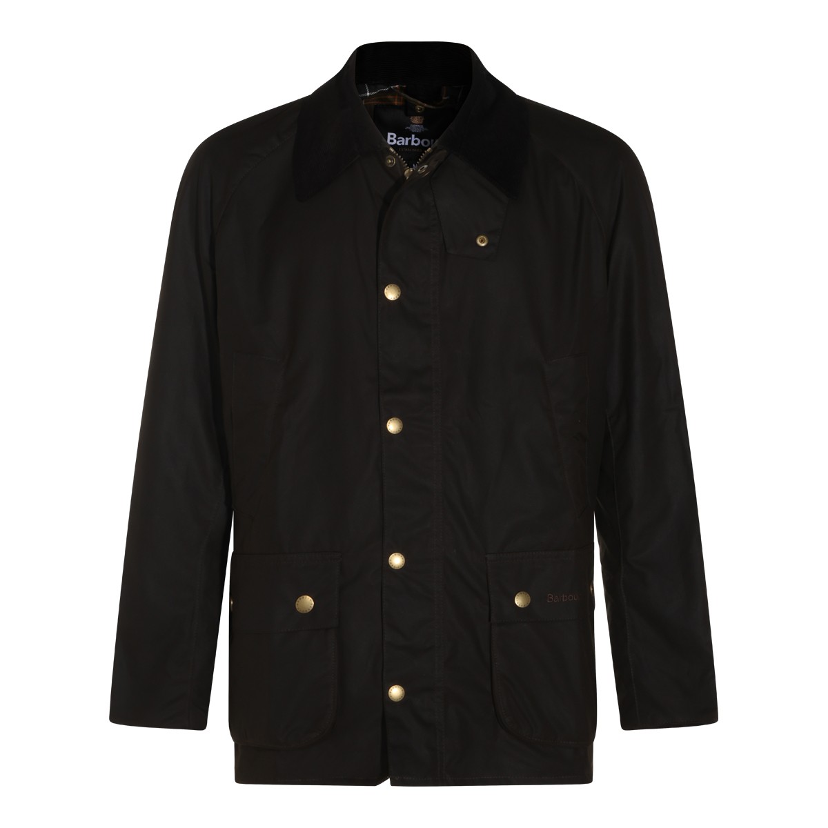 OLIVE COTTON ASHBY CASUAL JACKET