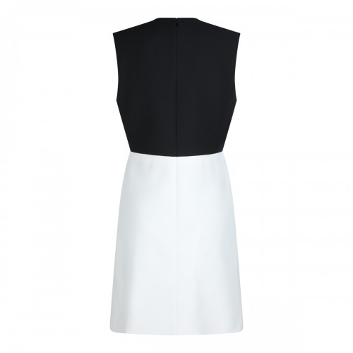 BLACK AND WHITE DRESS 2
